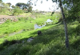 Działka inna Penamacor, Castelo Branco