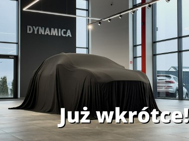 Skoda Fabia III Ambition 1.0MPI 75KM M5 2018/2019 r., salon PL, I właściciel, f-a VA-1