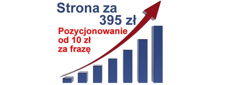 Strona wizytówka Inowrocław tania strona internetowa WWW strony mobilne-1