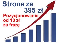 Strona wizytówka Inowrocław tania strona internetowa WWW strony mobilne