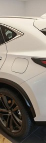 Lexus NX NX 14- 350h Prestige 2.5 Hybrid AWD Prestige 2.5 Hybrid AWD 200KM-4