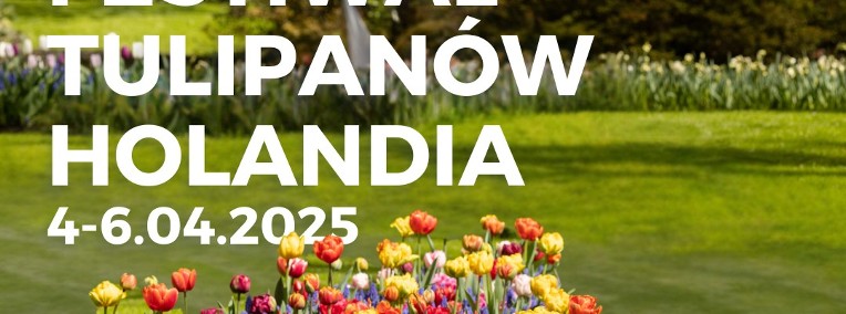 Festiwal Tulipanów Holandia 2025 Ogrody Keukenhof + Rotterdam + Haga-1