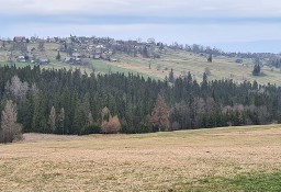 Działka inna Biały Dunajec