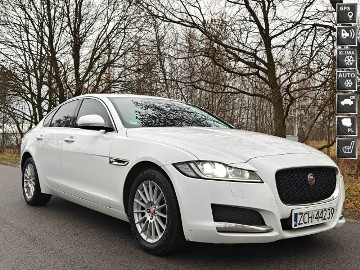 Jaguar XF X260