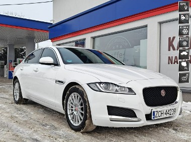 Jaguar XF X260-1