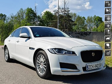 Jaguar XF X260-1