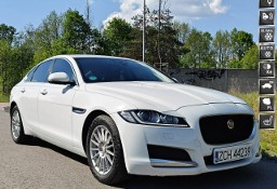 Jaguar XF X260