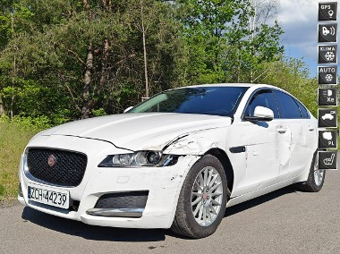Jaguar XF X260-1