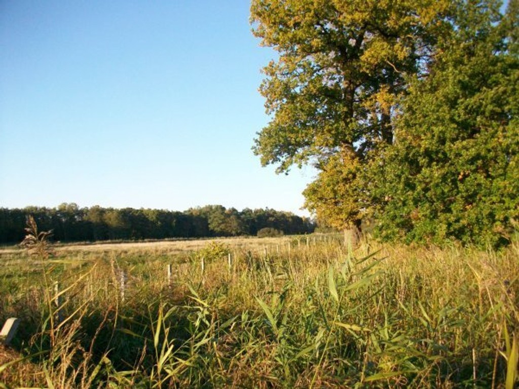 Działka na sprzedaż, 70000 m², Będzino Łasin Koszaliński - Widok 2