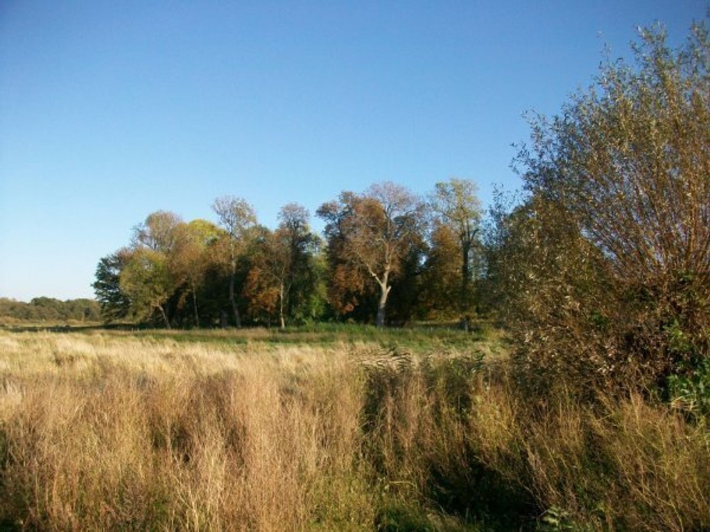 Działka na sprzedaż, 70000 m², Będzino Łasin Koszaliński - Widok 3
