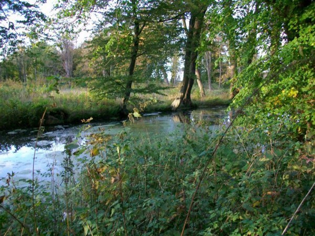 Działka na sprzedaż, 70000 m², Będzino Łasin Koszaliński - Widok 4