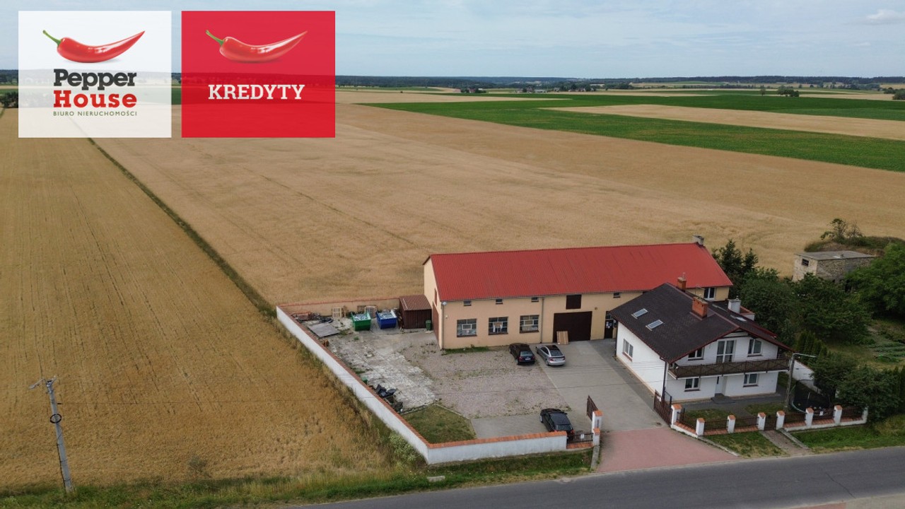 Działka Wolice 1000 m² w WZ - Widok 4