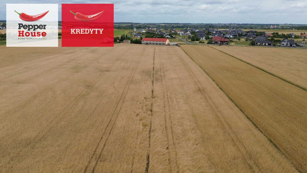 Działka Wolice 1000 m² w WZ - Widok 5