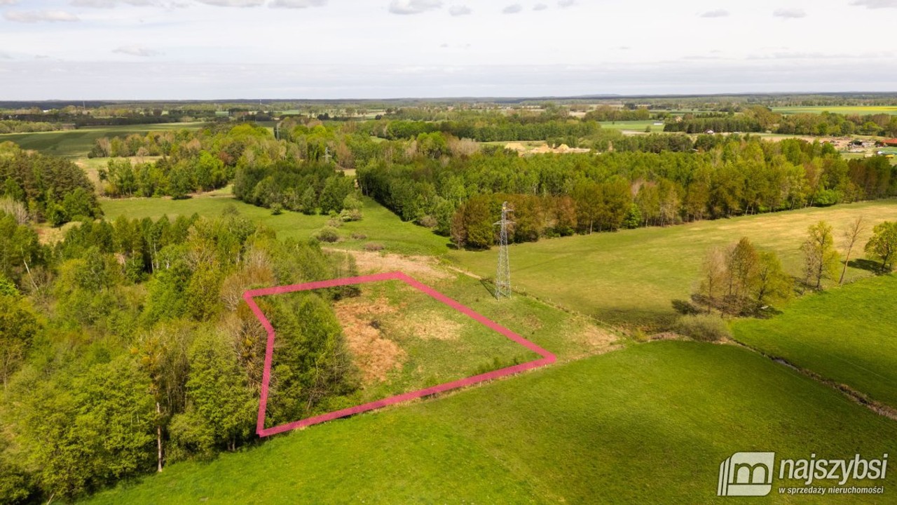 Dąbrowa Nowogardzka - łąką 9400 m², goleniowski