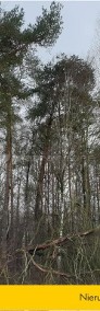 Działki leśne w Wojnowie-4