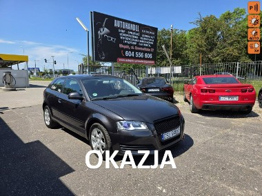 Audi A3 II (8P) 1.6 MPI 102 KM, Daylight LED, Xenon, Klimatyzacja, Aluflegi, Isofix-1