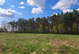 Działka rolna Tarnowskie Góry Pniowiec