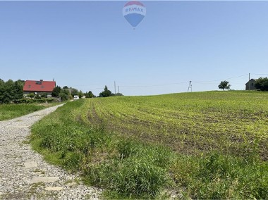 Działka rolniczo siedliskowa w Goleszowie 1,018 ha-1