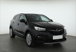 Opel Inny