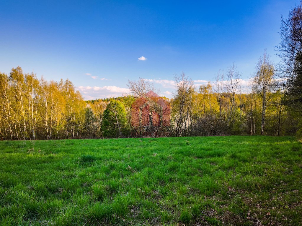 3,33 ha z lasem i strumykiem - teren pod zabudowę - Widok 2