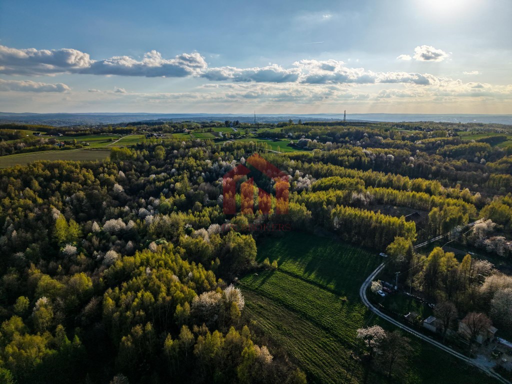 3,33 ha z lasem i strumykiem - teren pod zabudowę - Widok 5