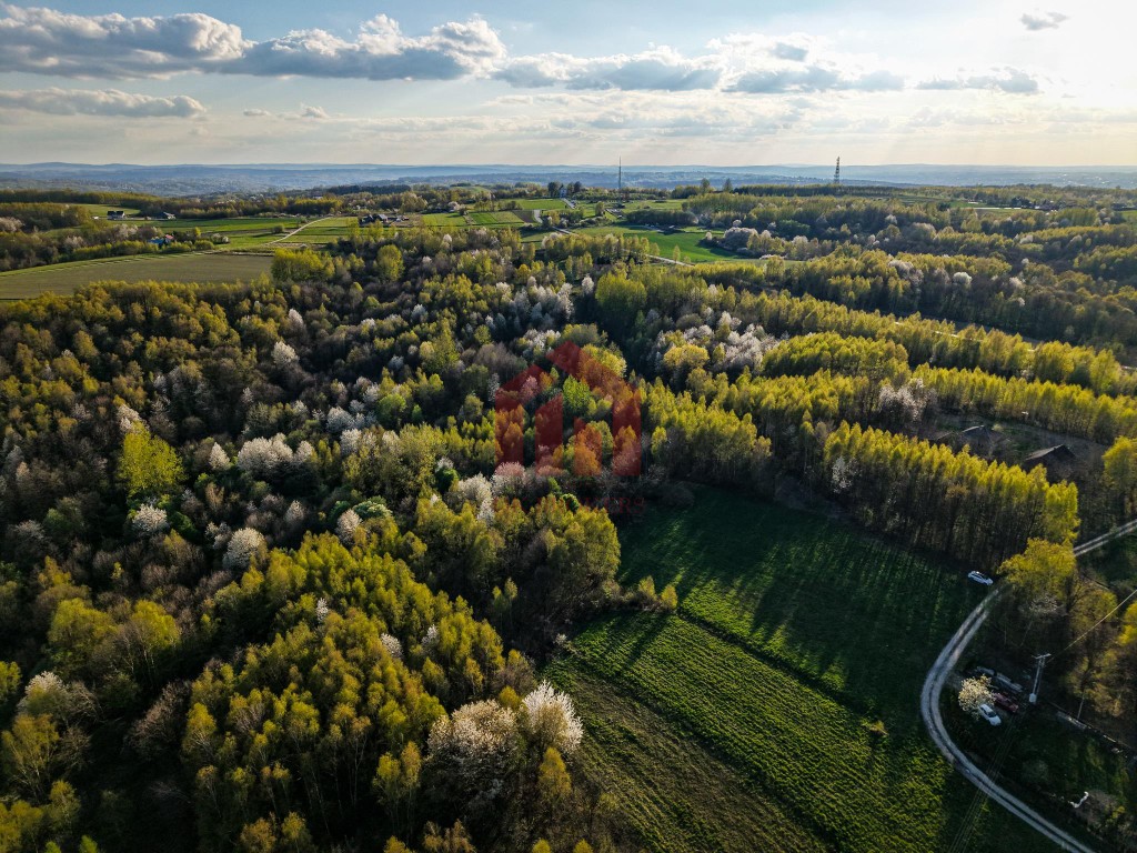 3,33 ha z lasem i strumykiem - teren pod zabudowę - Widok 6