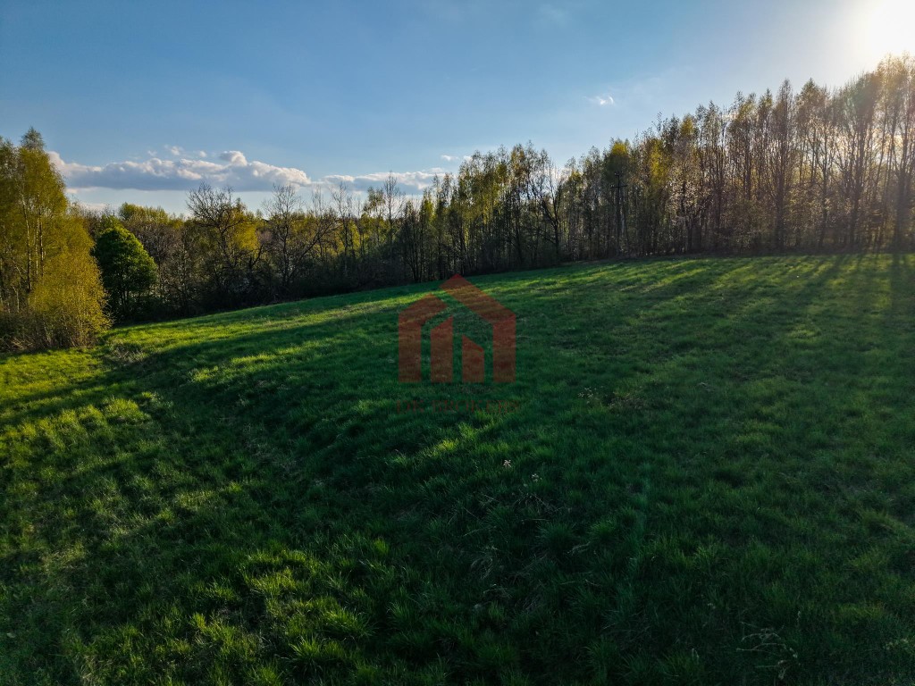 3,33 ha z lasem i strumykiem - teren pod zabudowę - Więcej