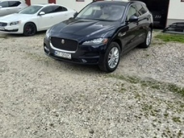 Telefon: 516_974_116 Lokalizacja: Kołbiel-1