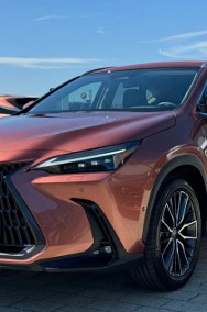 Lexus NX NX 14- 450h+ Omotenashi AWD 450h+ Omotenashi AWD 2.5 (292KM)-2