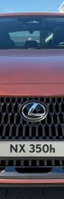 Lexus NX NX 14- 450h+ Omotenashi AWD 450h+ Omotenashi AWD 2.5 (292KM)-3