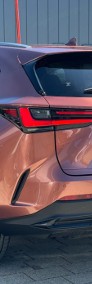 Lexus NX NX 14- 450h+ Omotenashi AWD 450h+ Omotenashi AWD 2.5 (292KM)-4
