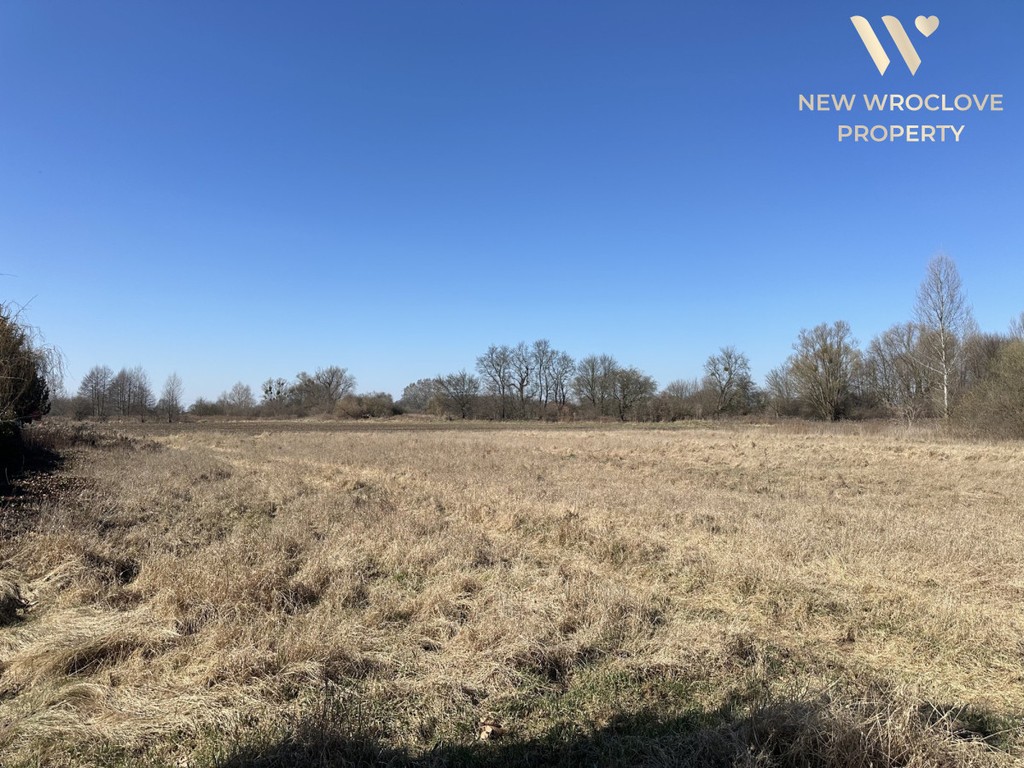 Duża działka/las/piękny widok/dojazd z drogi asfal - Widok 2