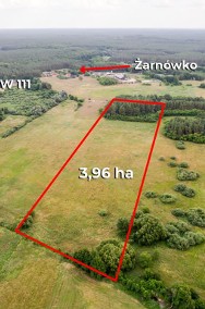 Duża działka rolna 3,96 ha, Żarnówko, gm. Stepnica-2