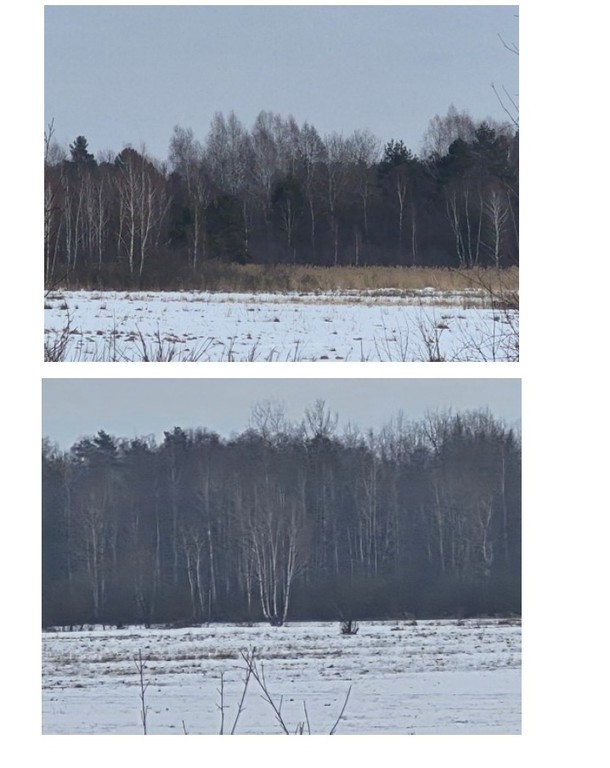 Nieruchomość w miejscowości Aleksandrów Pierwszy - Widok 3