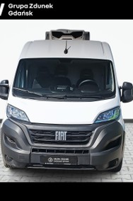 Fiat Ducato chlodnia zanotti z350, salon pl, f-vatr 23 %-2