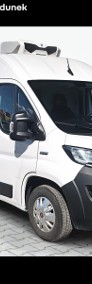 Fiat Ducato chlodnia zanotti z350, salon pl, f-vatr 23 %-3