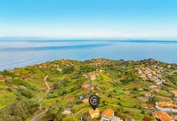 Dom Ilha Da Madeira, São Jorge