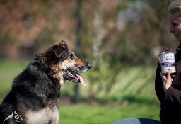 Nie dla LEO jakieś ochłapy - chce domu i własnej kanapy!