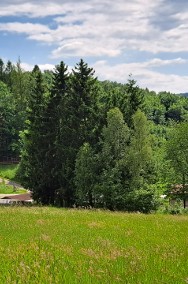 Widokowa-budowlana-uzbrojona działka  w Górach Sowich-2