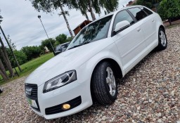 Audi A3 II (8P) 1.4 Benzyna , 5 Drzwiowy , Sprowadzony, Zarejestrowany, Pełna Dok