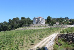 Dom Santo Tirso, Couto (Santa Cristina E São Miguel) E Burgães