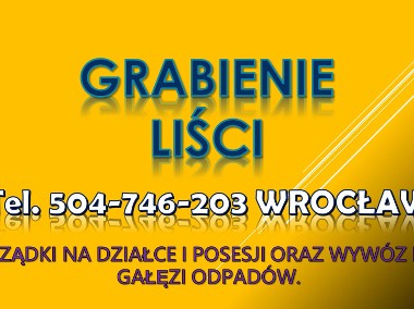 Grabienie liści Wrocław tel.  Cennik. Usługi ogrodnicze na działce, porządki.-1