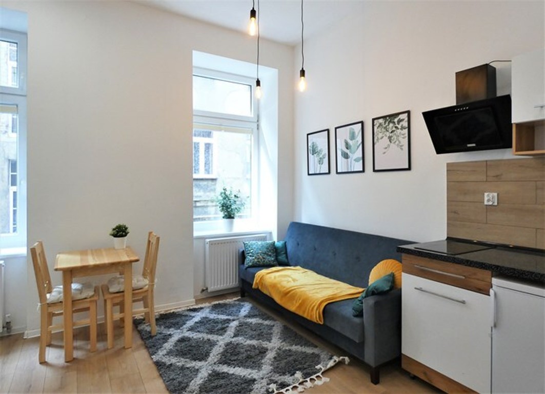 Zgierska 40 | Studio blisko Manufaktury i UŁ - Widok 2
