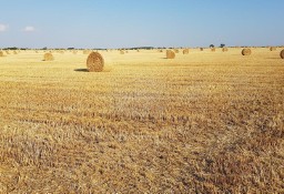 Działka inna Kisszállás