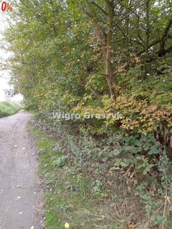 Teren inwestycyjny29422 do 54402 m² powierzchni, Podwalemazowieckie