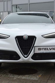 Alfa Romeo Stelvio Alfa Romeo Stelvio 280KM EXECUTIVE - WYPRZEDAŻ-2