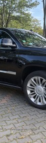 Bezwypadkowy, wersja EU, faktura VAT, dealer Corvette-3
