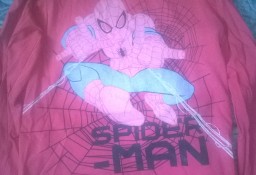 Bluzka Spiderman 