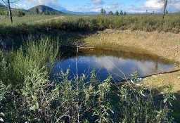 Działka inna Freixial E Juncal Do Campo