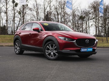 Mazda CX-30 , Salon Polska, Serwis ASO, Skóra, Navi, Klimatronic,